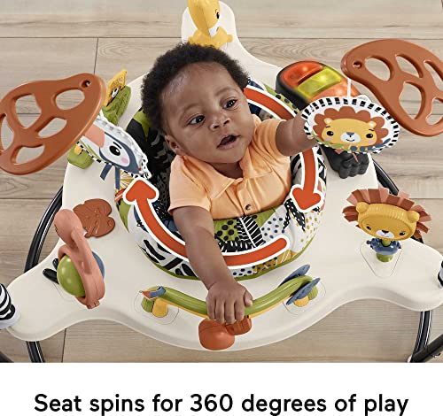 Fisher Price Baby Bouncer Palm Paradise Jumperoo Activity Center