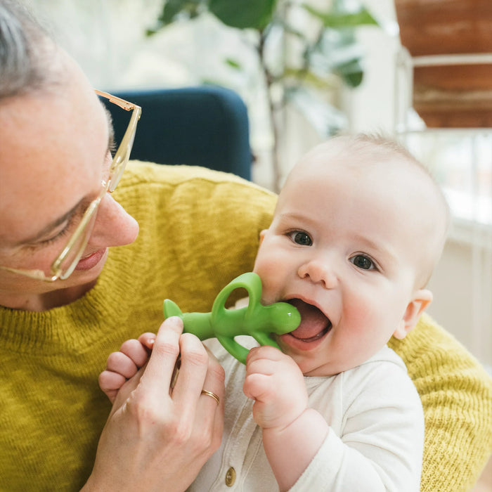 Dr. Brown’s Peapod Teether and Training Toothbrush, Soft and Safe for Baby Gums and First Teeth