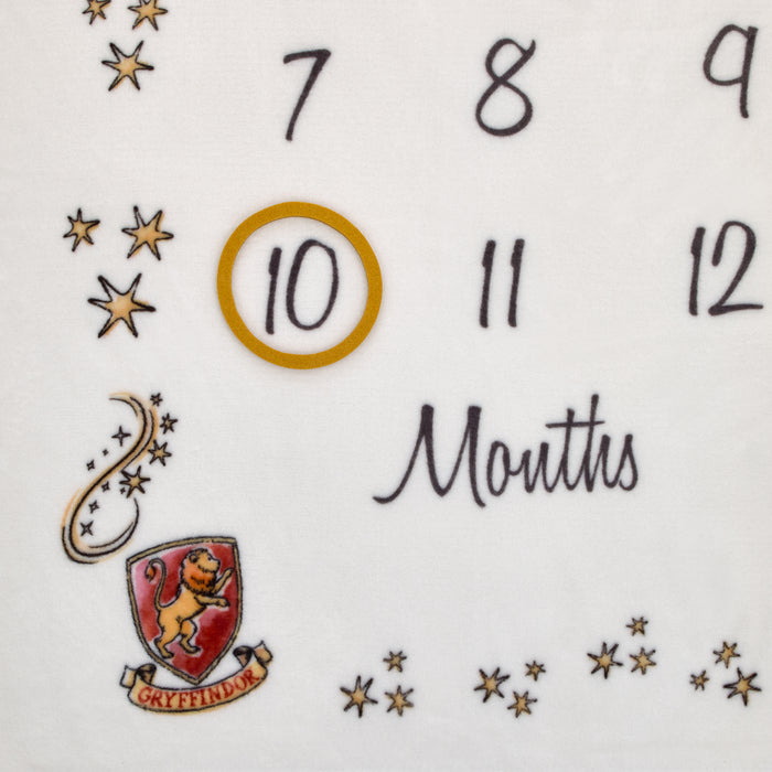 Warner Brothers Harry Potter Magical Moments Milestone Baby  Blanket