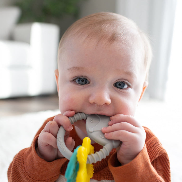 Dr. Brown’s Learning Loop Silicone Fox Teether