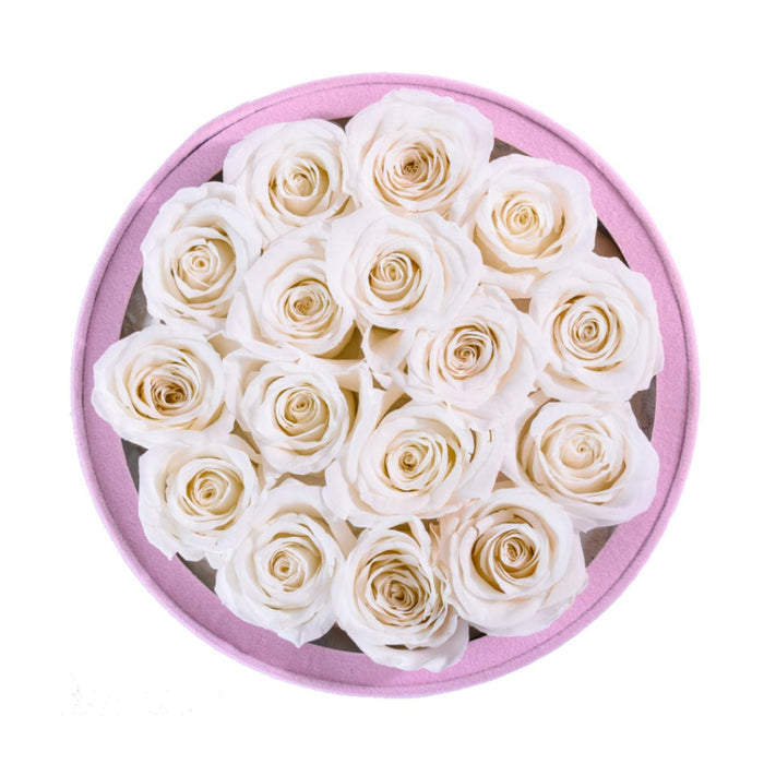 Rose Forever 16 Ivory Roses - Pink Round Suede Box