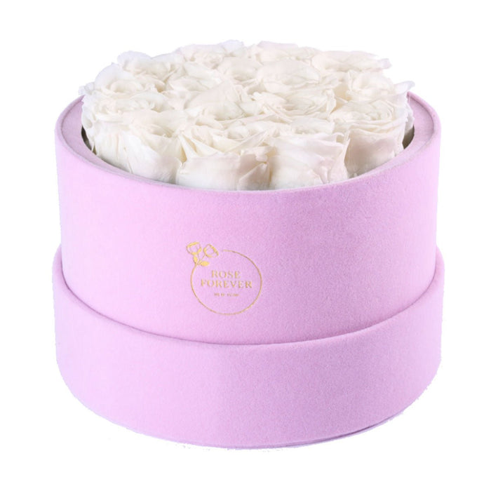 Rose Forever 16 Ivory Roses - Pink Round Suede Box