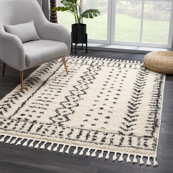 Hauteloom Hauppauge Berber Shag Carpet