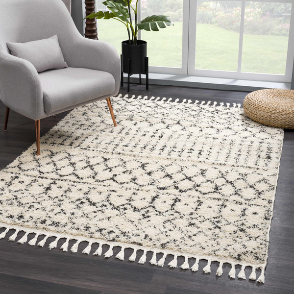 Hauteloom Kibureau Cream Trellis Shag Area Rug