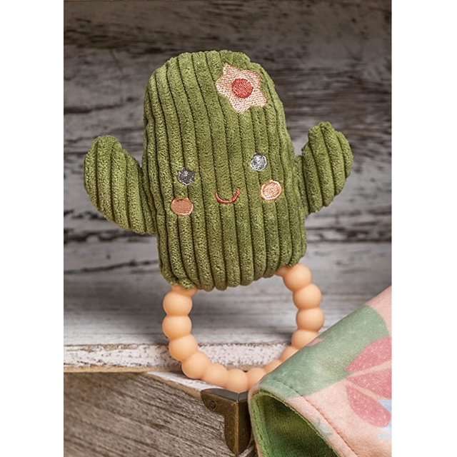 Mary Meyer Sweet Soothie Cactus Teether Rattle