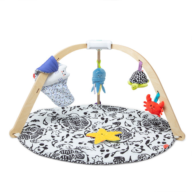 Melissa & Doug Ocean Easy-Fold Play Gym