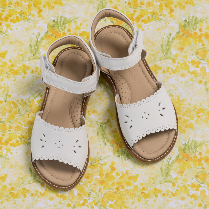 Elephantito Classic Sandal with Scallop White