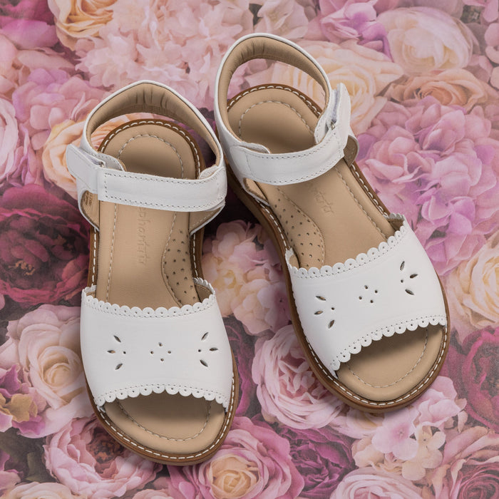 Elephantito Classic Sandal with Scallop White