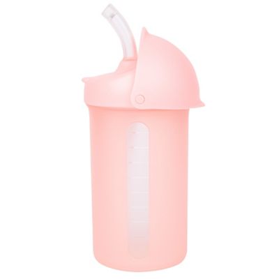 Best Training Cup and Reusable Silicone Straws for Toddlers