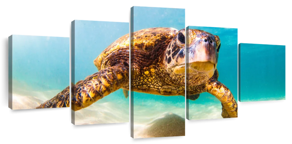 ElephantStock Hawaiian Turtle Wall Art