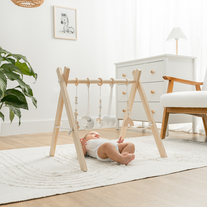 Comfy Cubs Baby Play Gym
