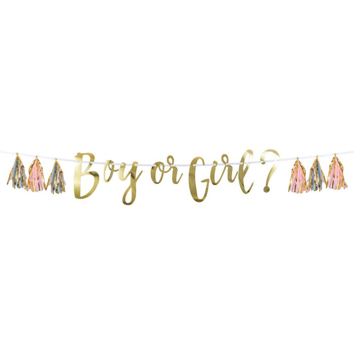 Party Decorations "Boy Or Girl?" Pink, Blue, And Gold Tassel Banner (1/Pkg)