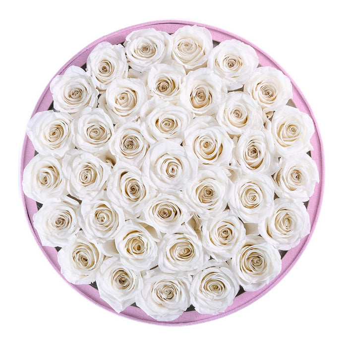 Rose Forever 36 White Roses - Pink Round Suede Box