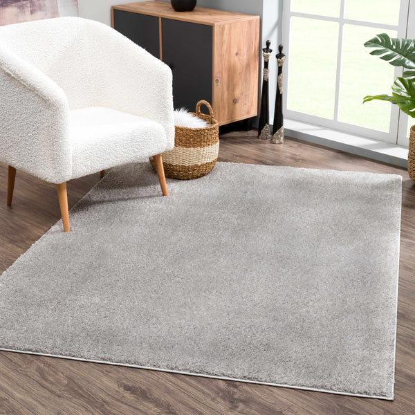 Hauteloom Judy Light Gray Washable Area Rug