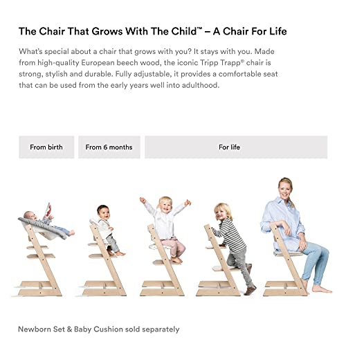 Buy Stokke Beech Wood Ergonomic 2019 Tripp Trapp High Chair, Oak Black –  ANB Baby