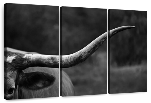 ElephantStock Texas Longhorn Cattle Wall Art