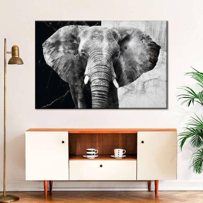 ElephantStock Elephant Black And White Wall Art