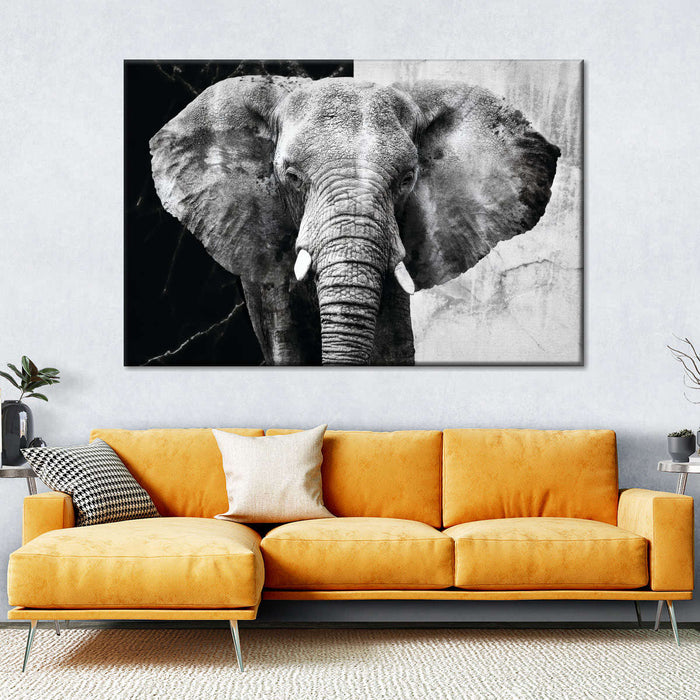 ElephantStock Elephant Black And White Wall Art