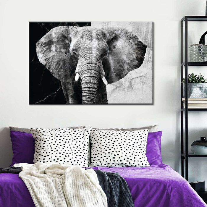 ElephantStock Elephant Black And White Wall Art