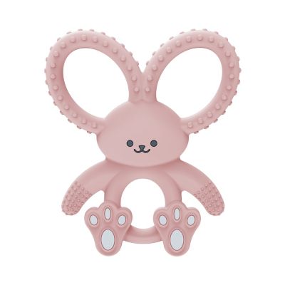 Dr. Brown's Flexees Bunny Teether for Infant & Baby