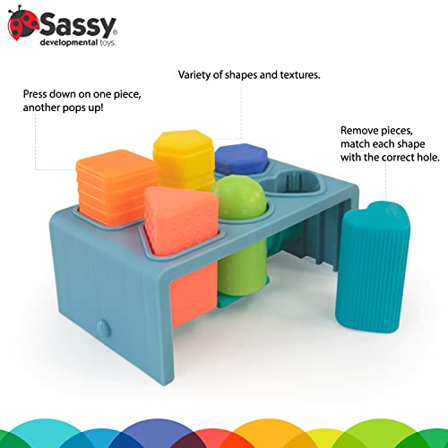 Sassy Press & Pop Puzzle