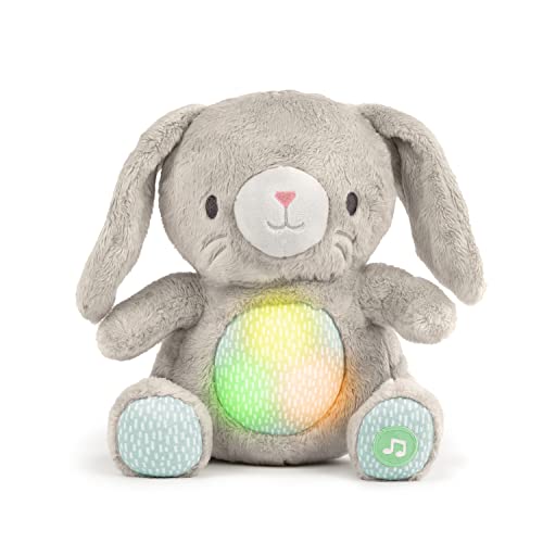 Ingenuity Heart to Hugs Sylvi Soothing Plush Toy