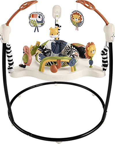 Fisher Price Baby Bouncer Palm Paradise Jumperoo Activity Center