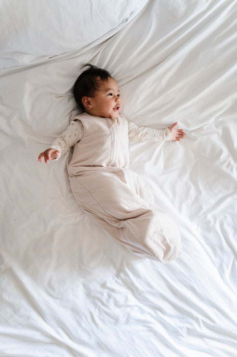 Ely's & Co. Winter Wearable Blanket | Baby Sleep Bag