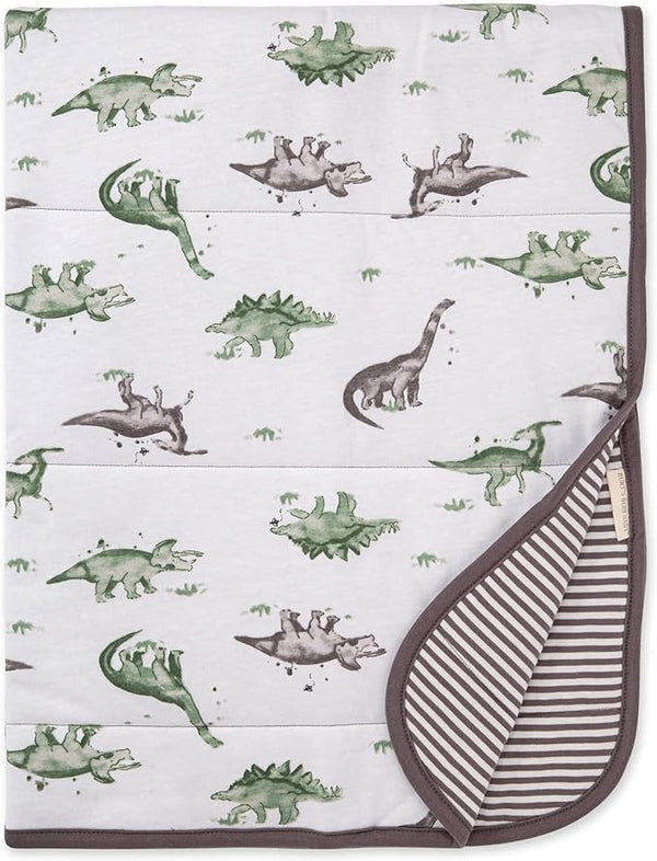 Burt's Bees Baby - Reversible Blanket, Happy Herbivores