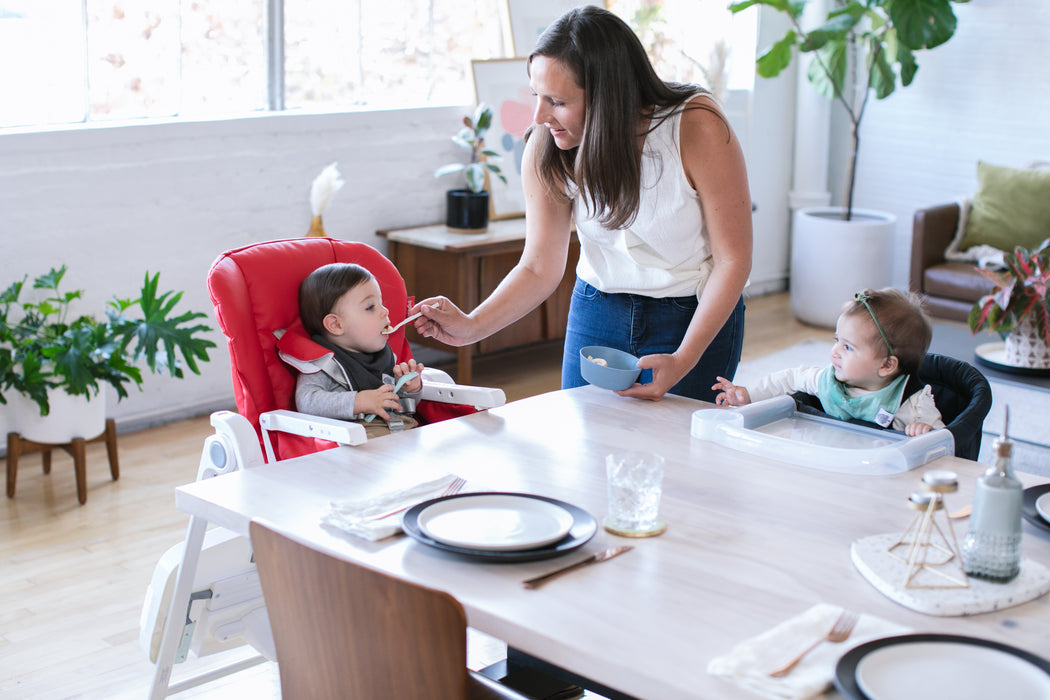 Inglesina Gusto High Chair