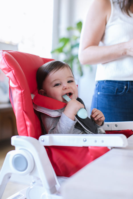 Inglesina Gusto High Chair