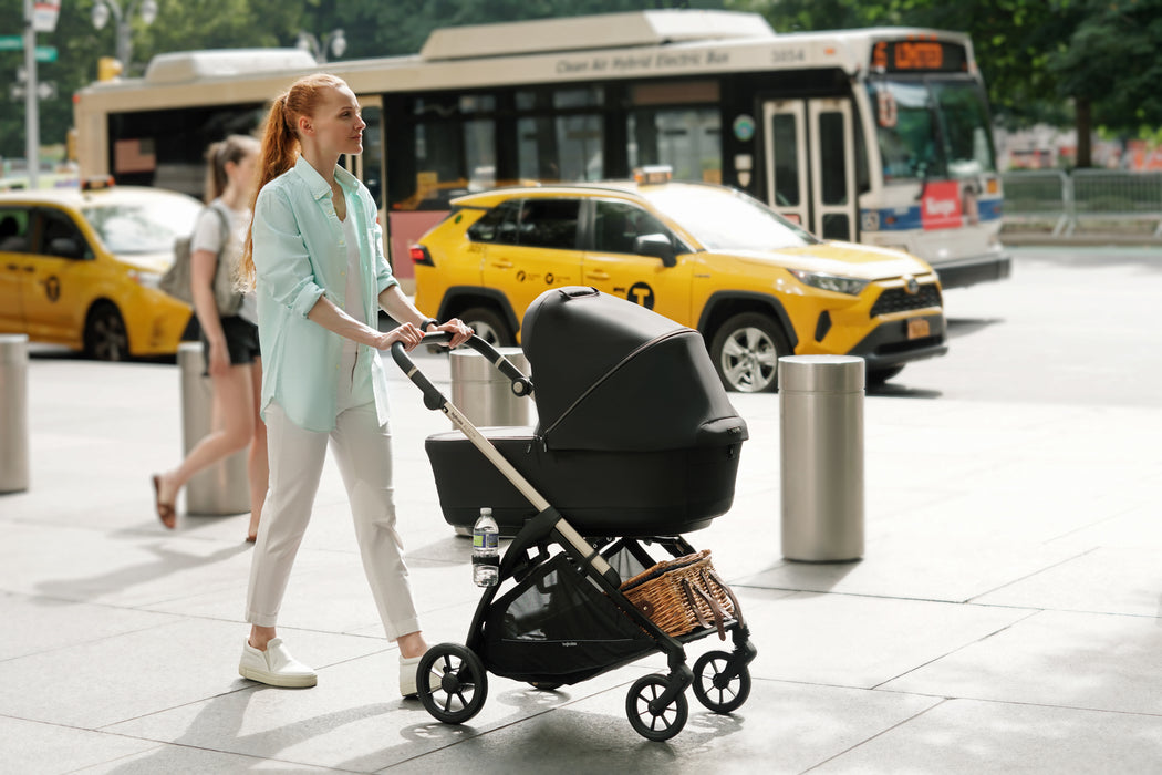 Inglesina Electa Bassinet + Stand