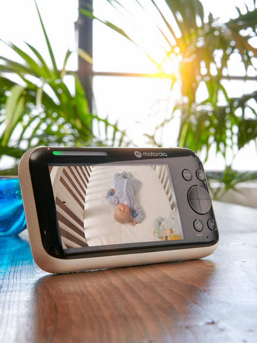 Motorola PIP 1610 HD Connect WiFi Moniteur bébé motorisé avec vidéo HD et  écran 5
