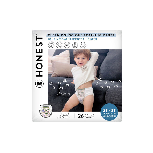 Honest Wipes 10 count - Pattern Play