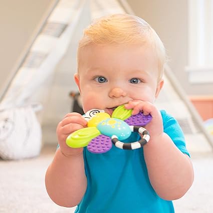 Sassy Flutterby Teether