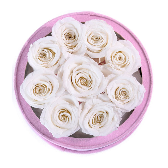 Rose Forever 9 Ivory Roses - Pink Round Suede Box