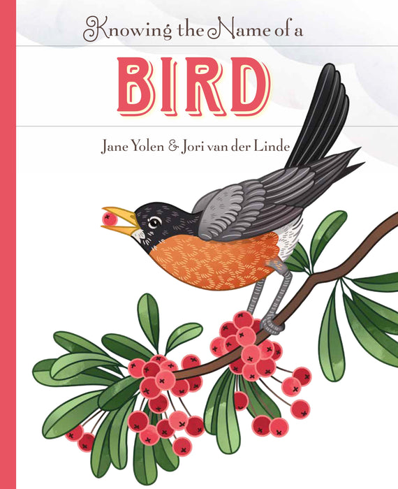 Creative Company Knowing the Name of a Bird Book