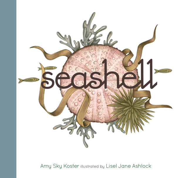 Creative Company Seashell Book