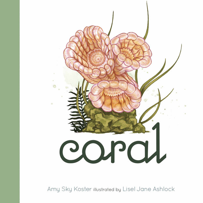 Creative Company Coral Book