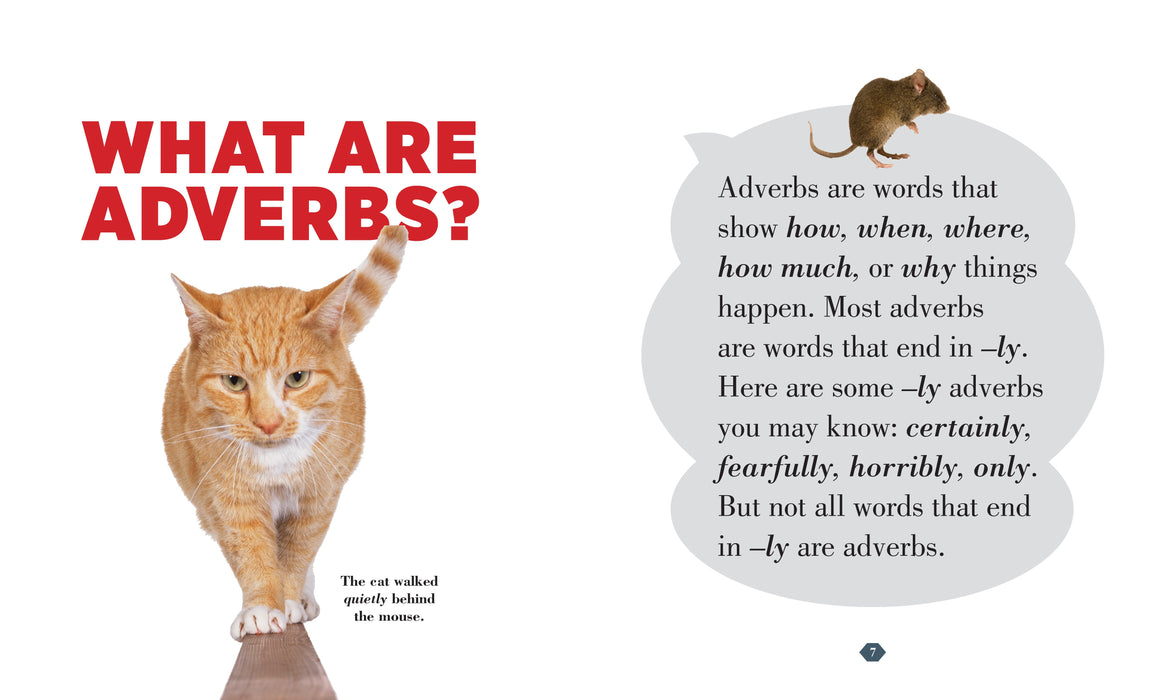 Creative Company Grammar Basics: Adverbs Book