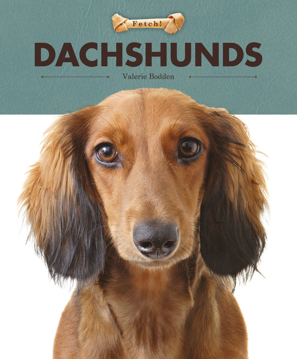Creative Company Fetch!: Dachshunds Book