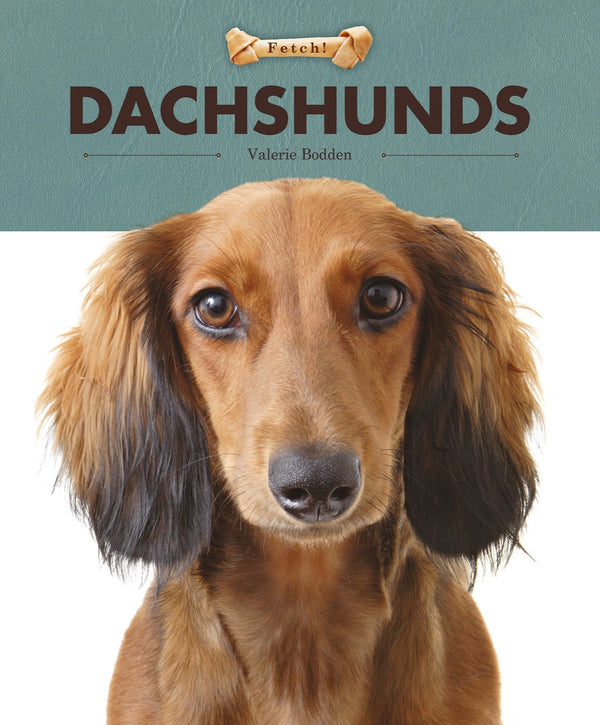 Creative Company Fetch!: Dachshunds Book