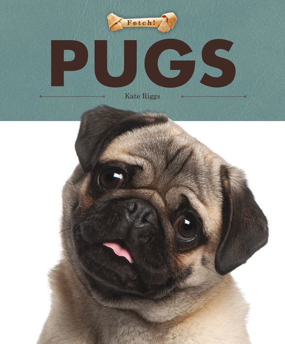 Creative Company Fetch!: Pugs Book