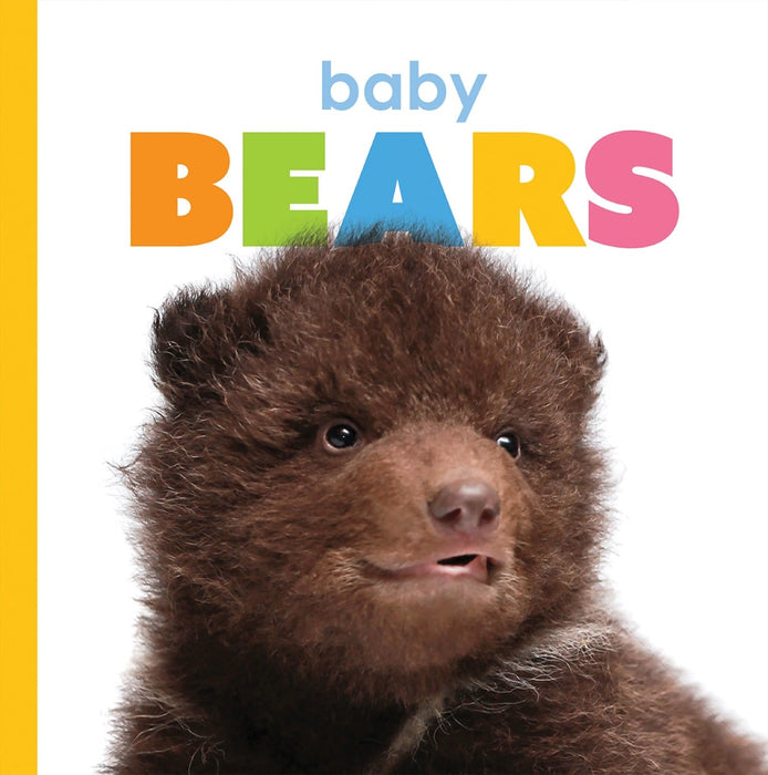 Creative Company Starting Out: Baby Bears Book