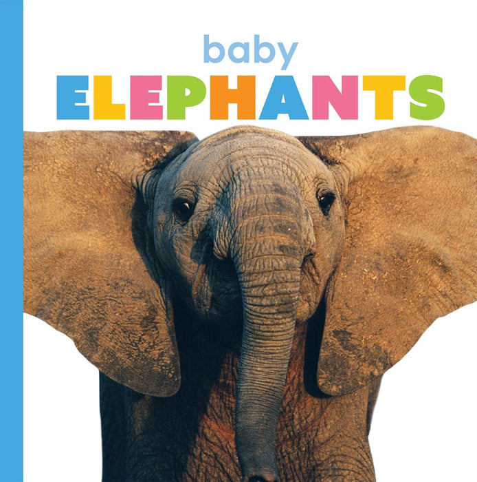 Creative Company Starting Out: Baby Elephants Book