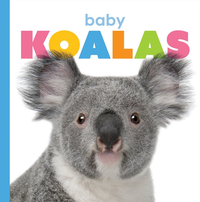 Creative Company Starting Out: Baby Koalas Book