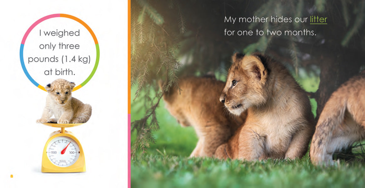 Creative Company Starting Out: Baby Lions Book