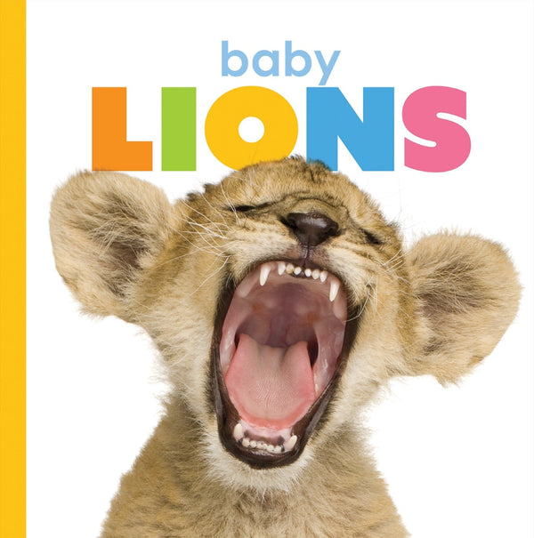 Creative Company Starting Out: Baby Lions Book