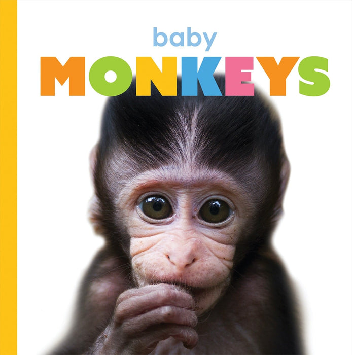 Creative Company Starting Out: Baby Monkeys Book