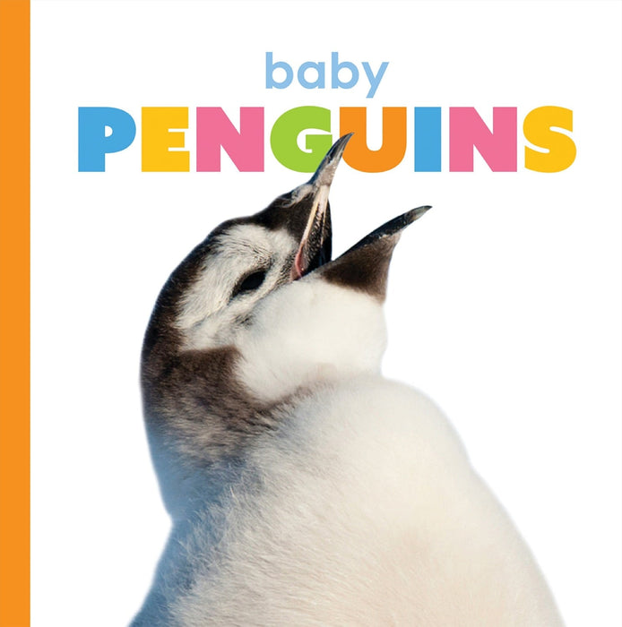 Creative Company Starting Out: Baby Penguins Book